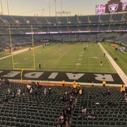 pizza.pizza343332 on One Bite Pizza App