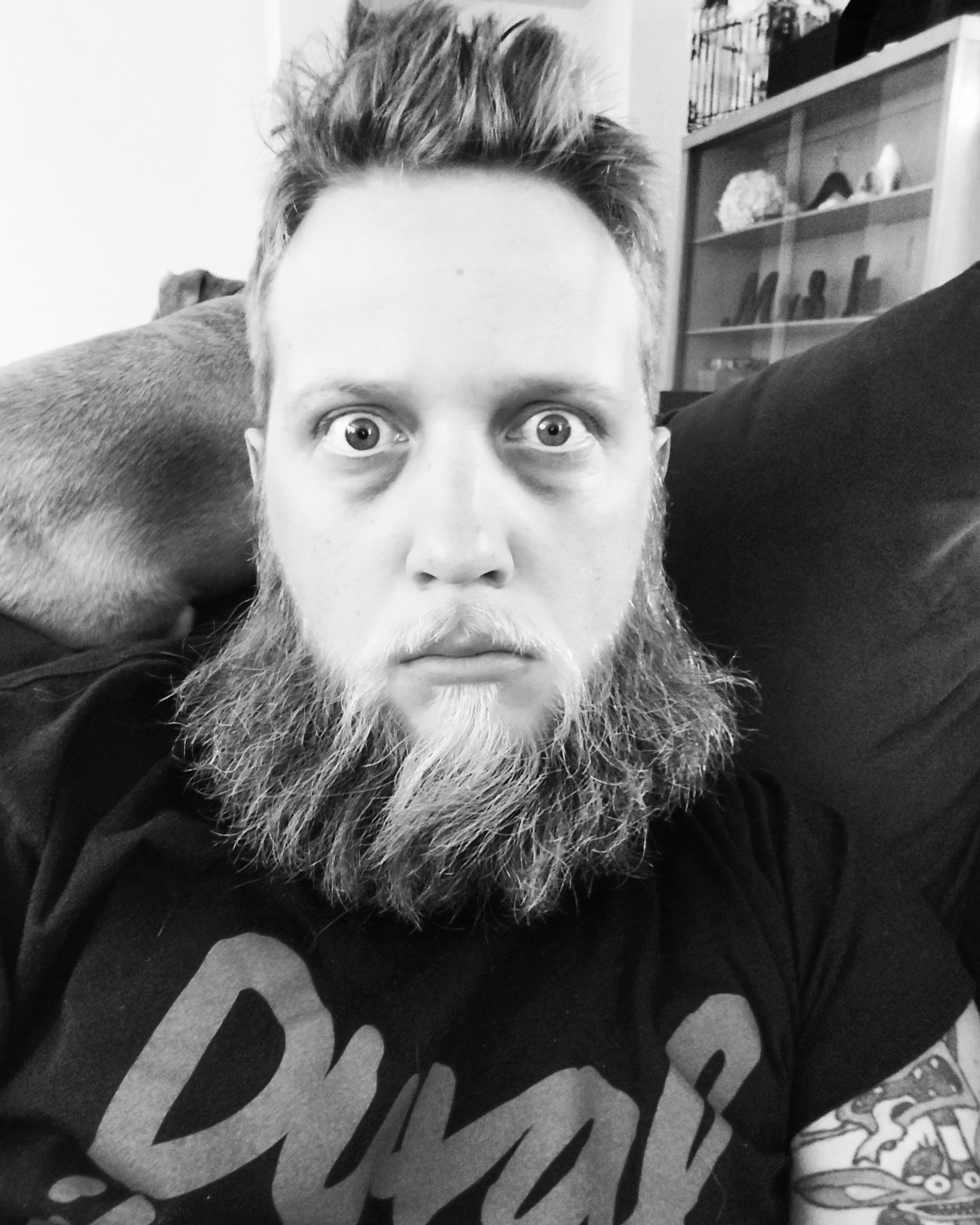 josh.r3 on One Bite Pizza App