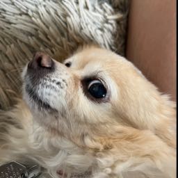 john.haag1 on One Bite Pizza App