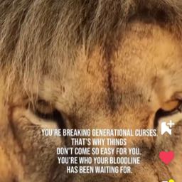 cory.cantrall on One Bite Pizza App