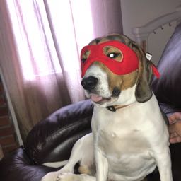 aldronyc on One Bite Pizza App