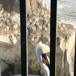 brody.laytom on One Bite Pizza App