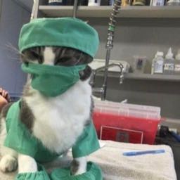 eddiemoney on One Bite Pizza App