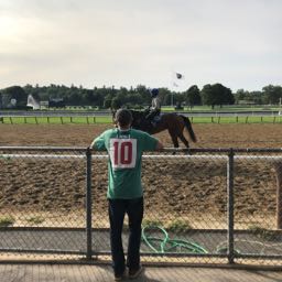 nick.heritage on One Bite Pizza App