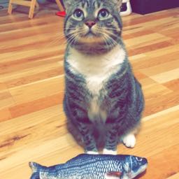 karen.data on One Bite Pizza App