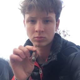 robert.ussery on One Bite Pizza App