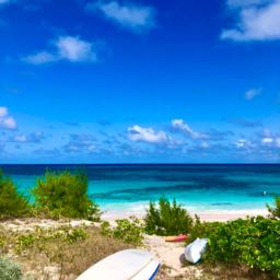 declan_fresh on One Bite Pizza App