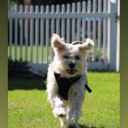 jack.noonan3 on One Bite Pizza App