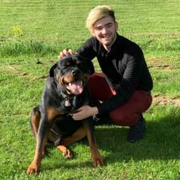 jake.cochran on One Bite Pizza App