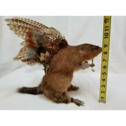 coca on One Bite Pizza App