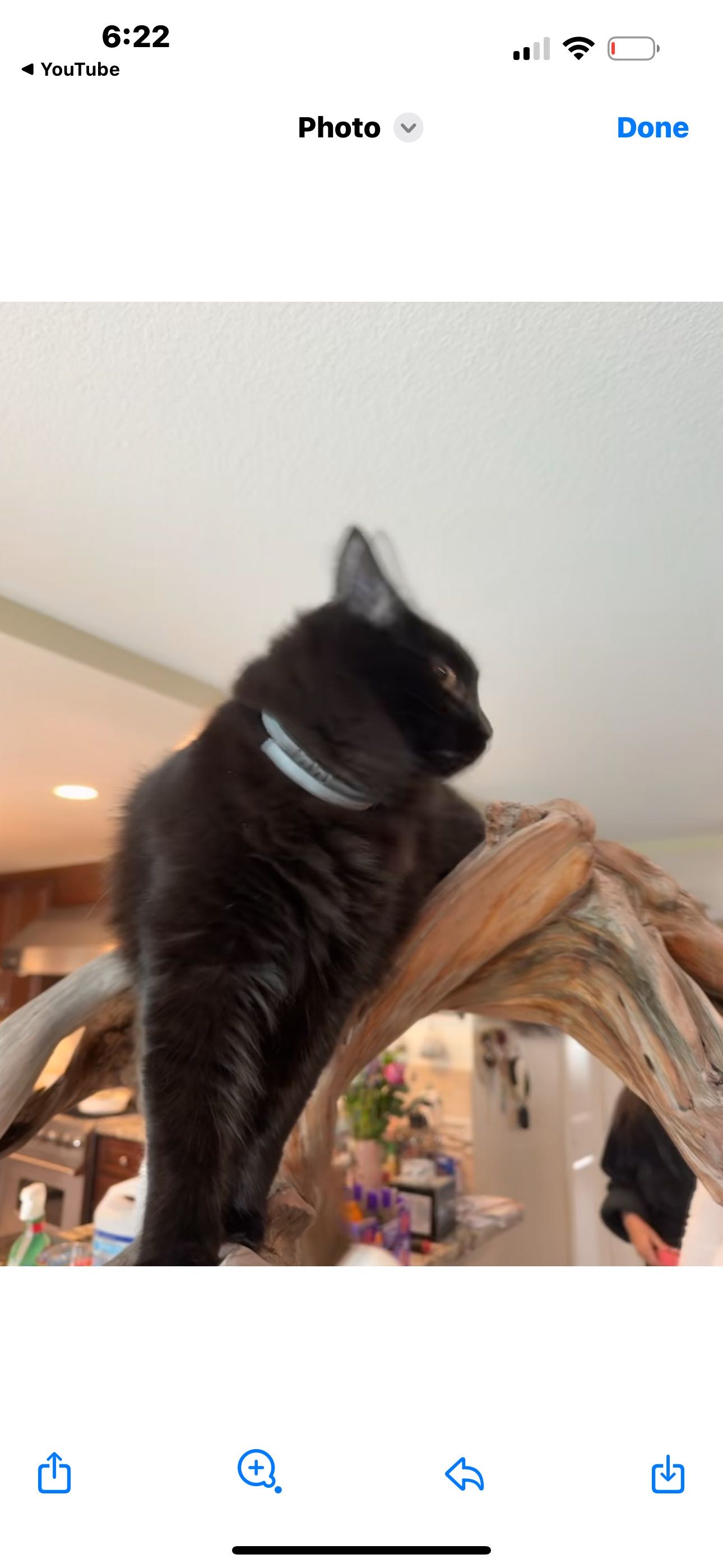 radwan.soueidan on One Bite Pizza App