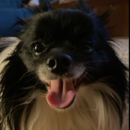 riomoleta on One Bite Pizza App