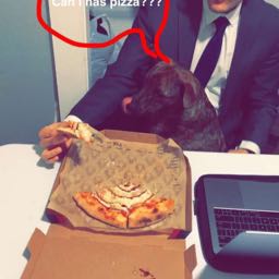 jake.greenberg3 on One Bite Pizza App