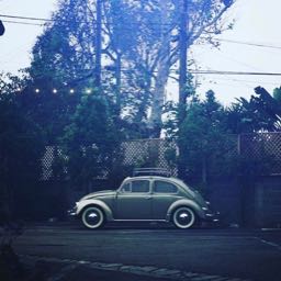 clay.carr on One Bite Pizza App