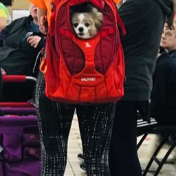 rebecca.misencik on One Bite Pizza App