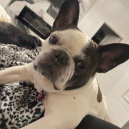 crystal.ann. on One Bite Pizza App