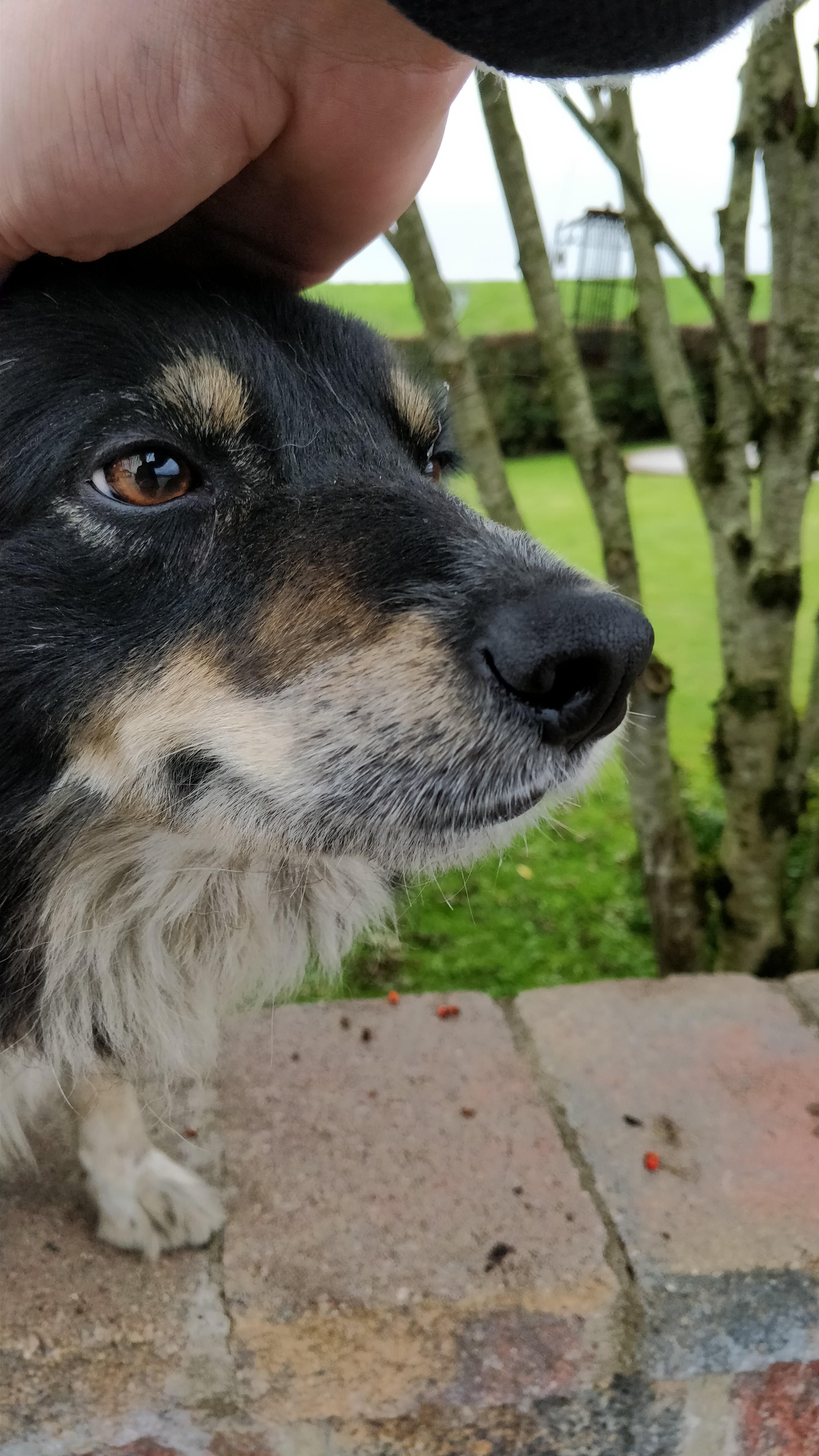 colm.mcneill on One Bite Pizza App