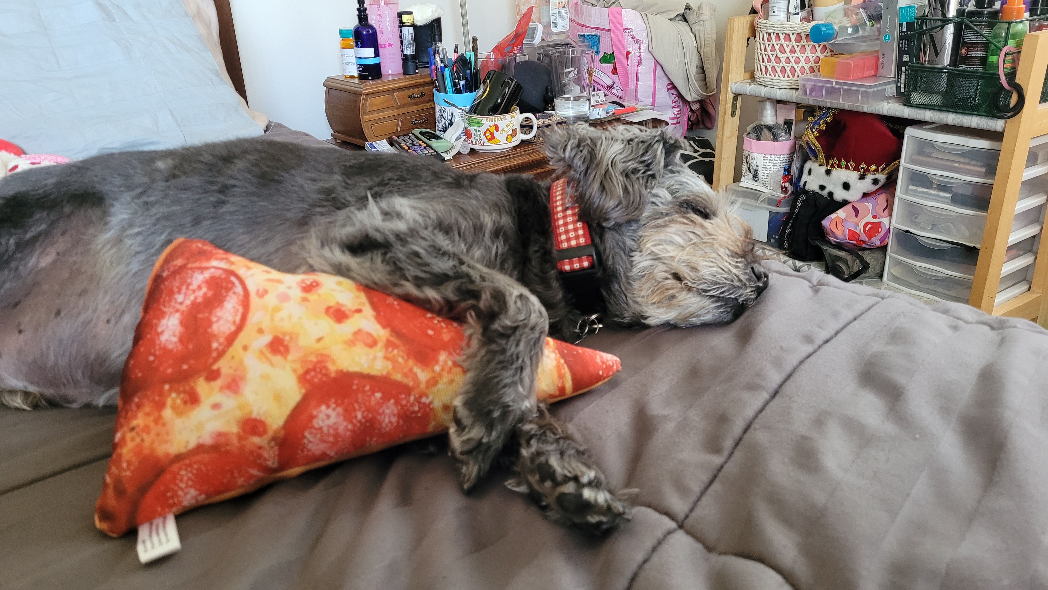 tacticalpanda007 on One Bite Pizza App