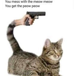 tibby2336 on One Bite Pizza App