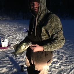 andy.flores on One Bite Pizza App