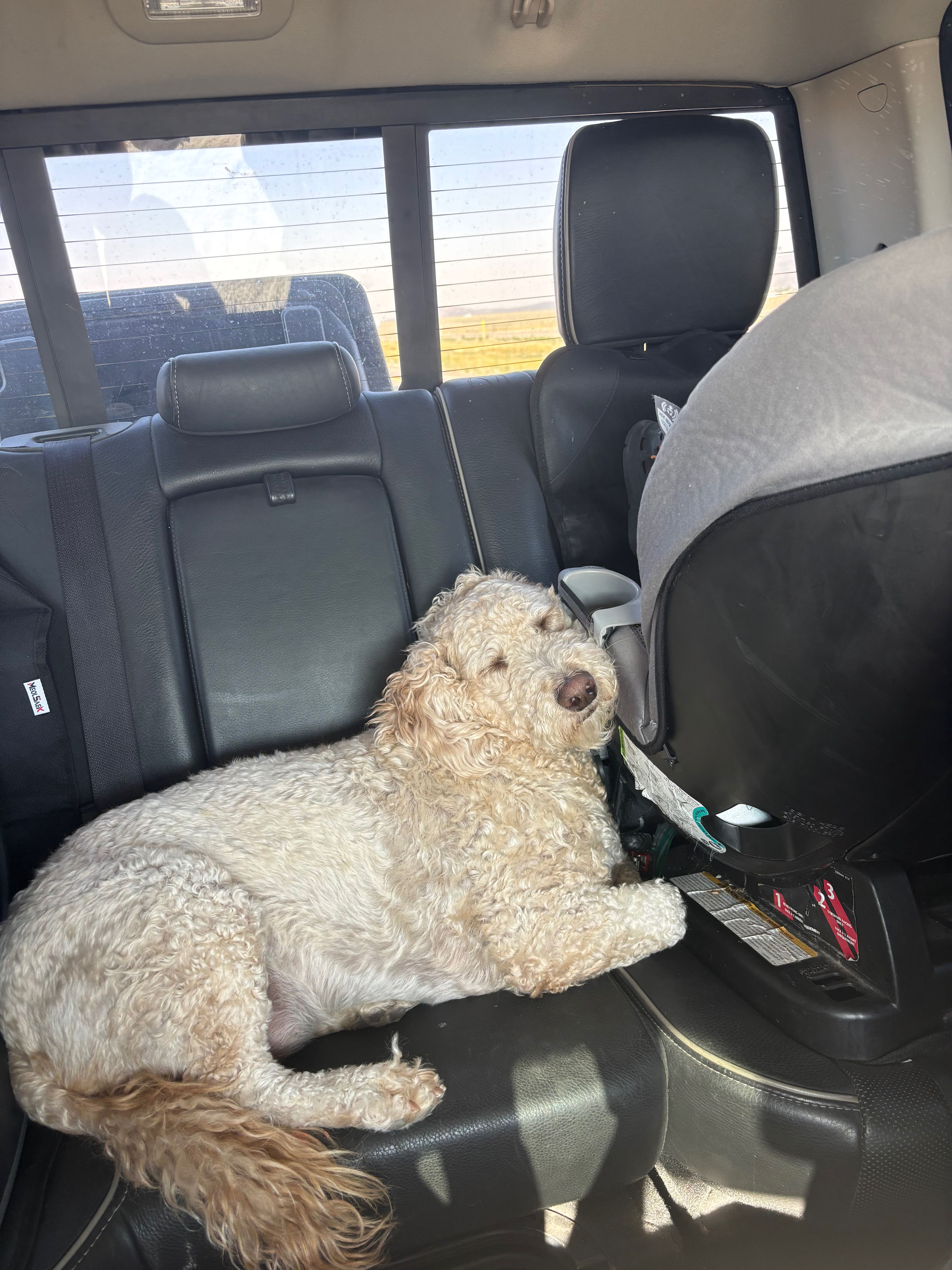 brecken.moore on One Bite Pizza App