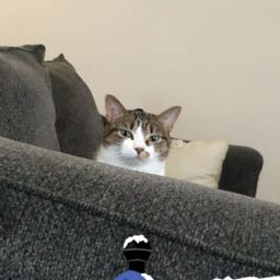 cody.scott3 on One Bite Pizza App