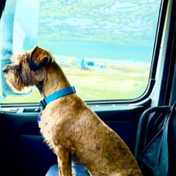 maciatka on One Bite Pizza App