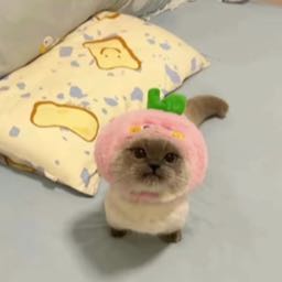 alex.wordel on One Bite Pizza App