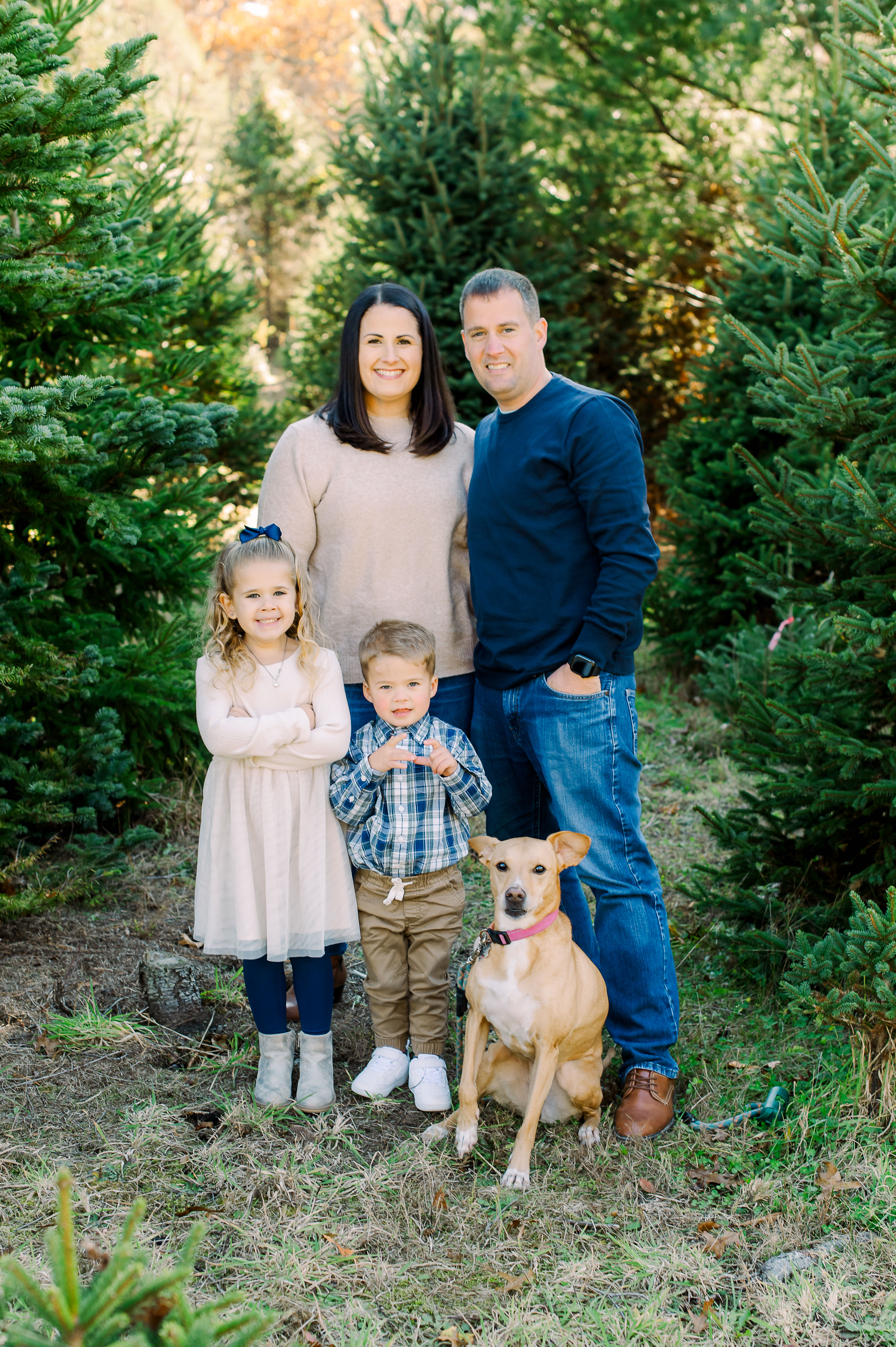 anthonysimmons on One Bite Pizza App