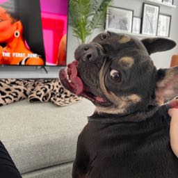 bruce.jameson on One Bite Pizza App