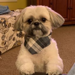 sam.toth on One Bite Pizza App