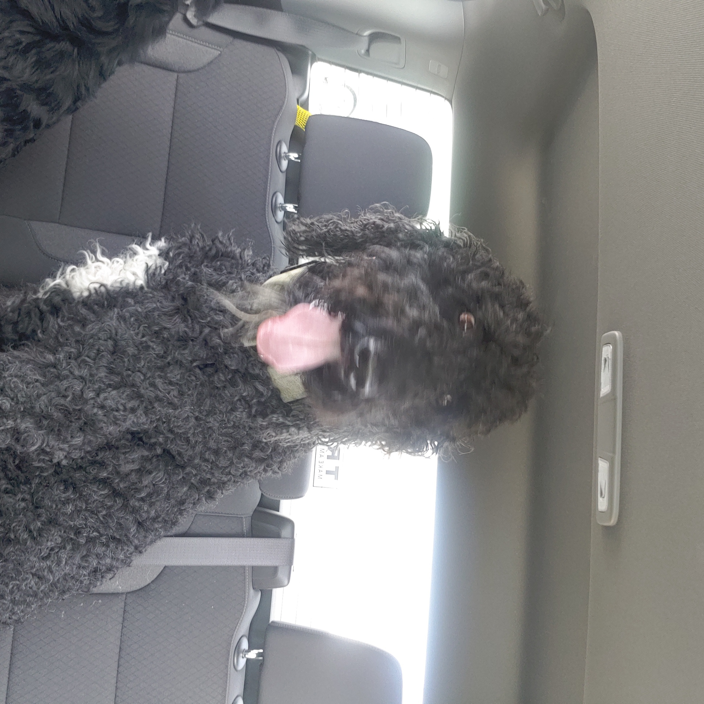 rocky3d on One Bite Pizza App