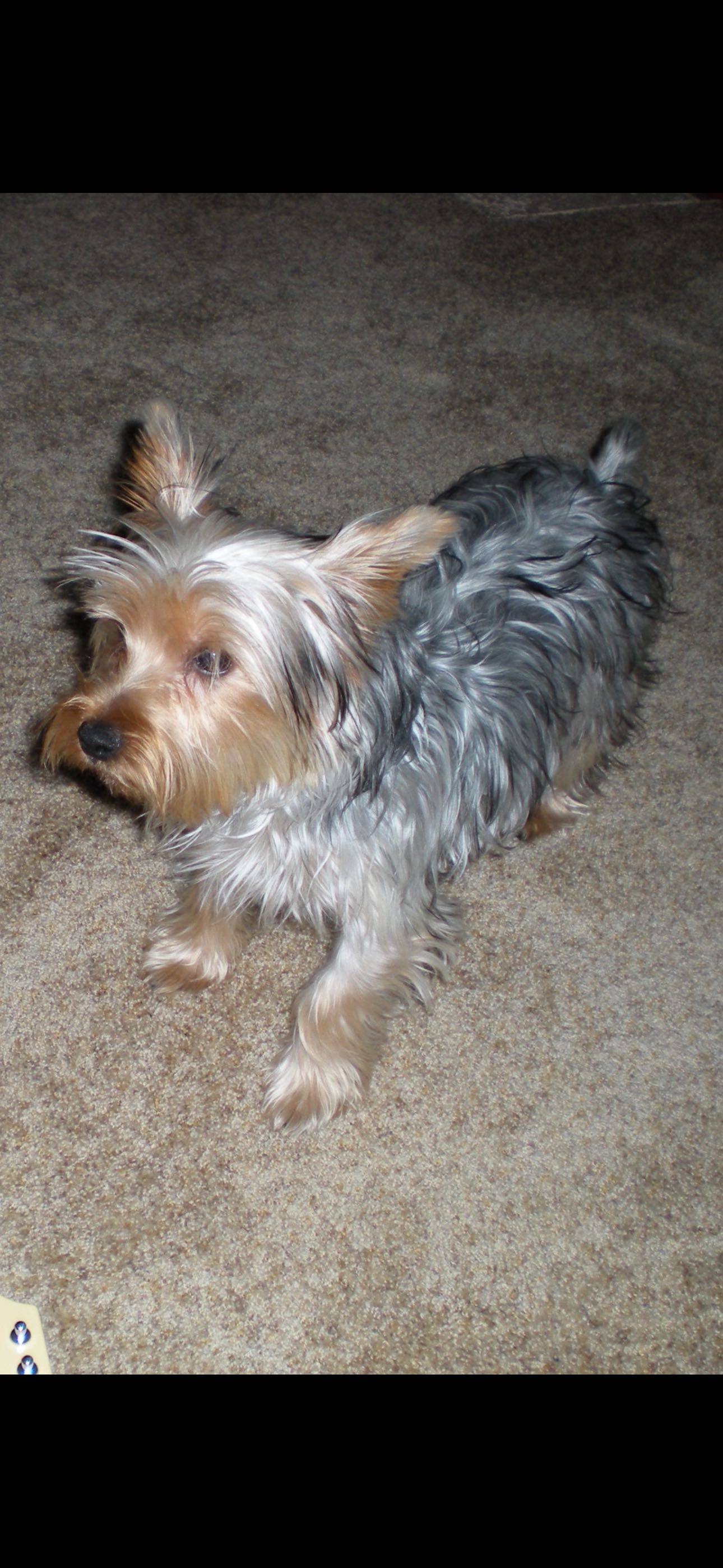 peter.vorilas on One Bite Pizza App