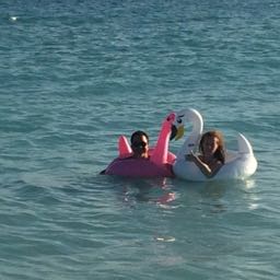 adam.ferrin on One Bite Pizza App