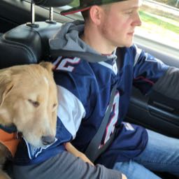 travis.carbonneau on One Bite Pizza App