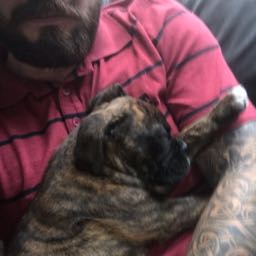 thebighoss on One Bite Pizza App