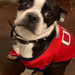 cruz on One Bite Pizza App