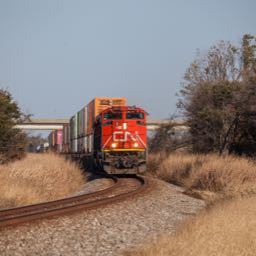 travis.newman1 on One Bite Pizza App