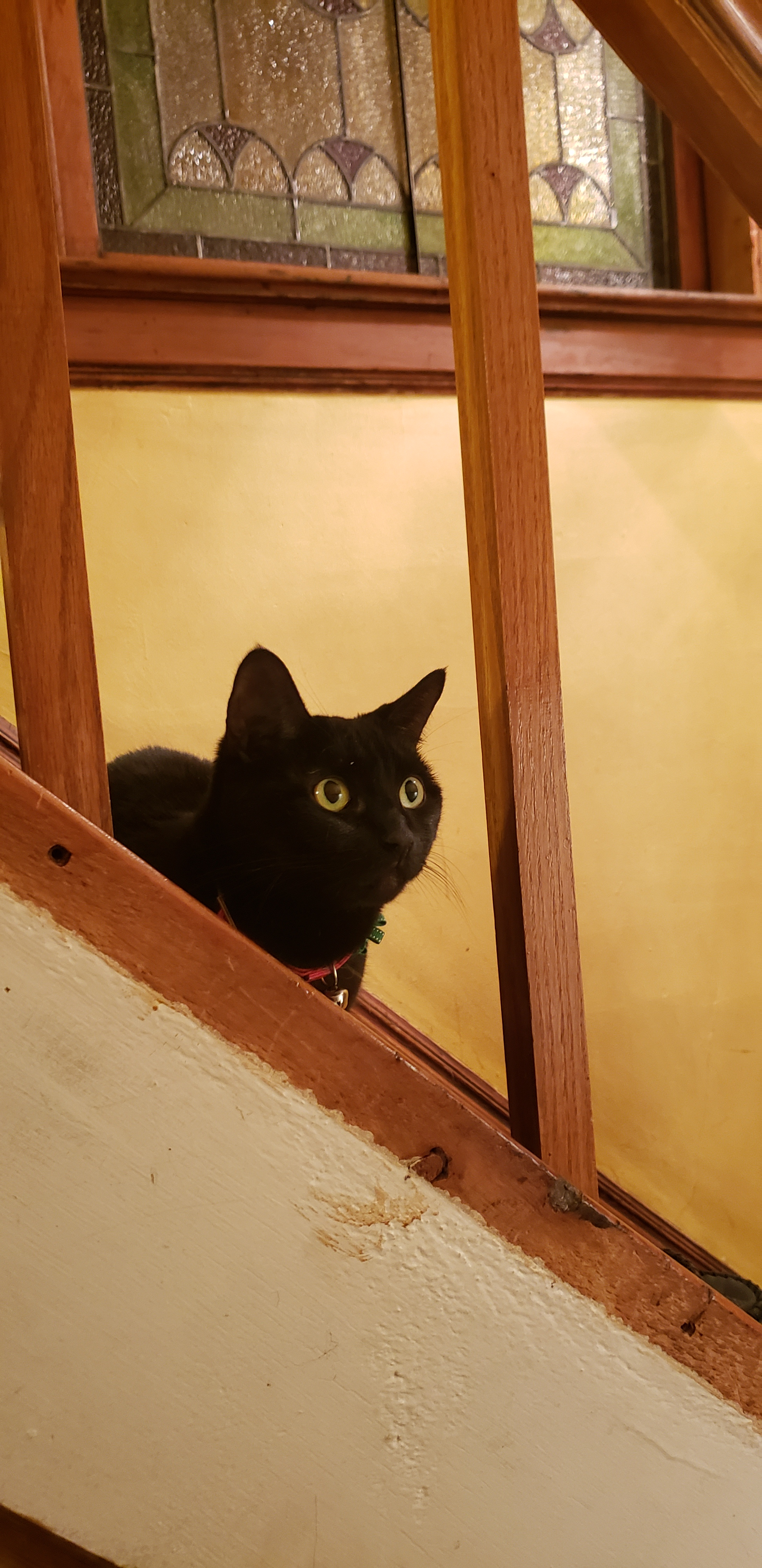 demanrtp on One Bite Pizza App