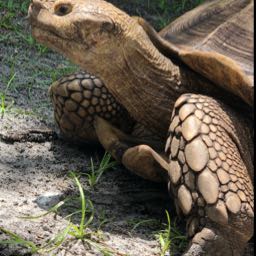 .mark on One Bite Pizza App