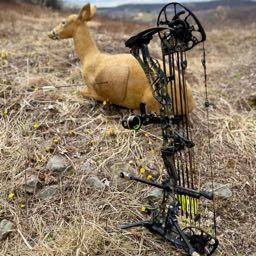 aaron.evancavich on One Bite Pizza App