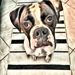 captmikestone on One Bite Pizza App