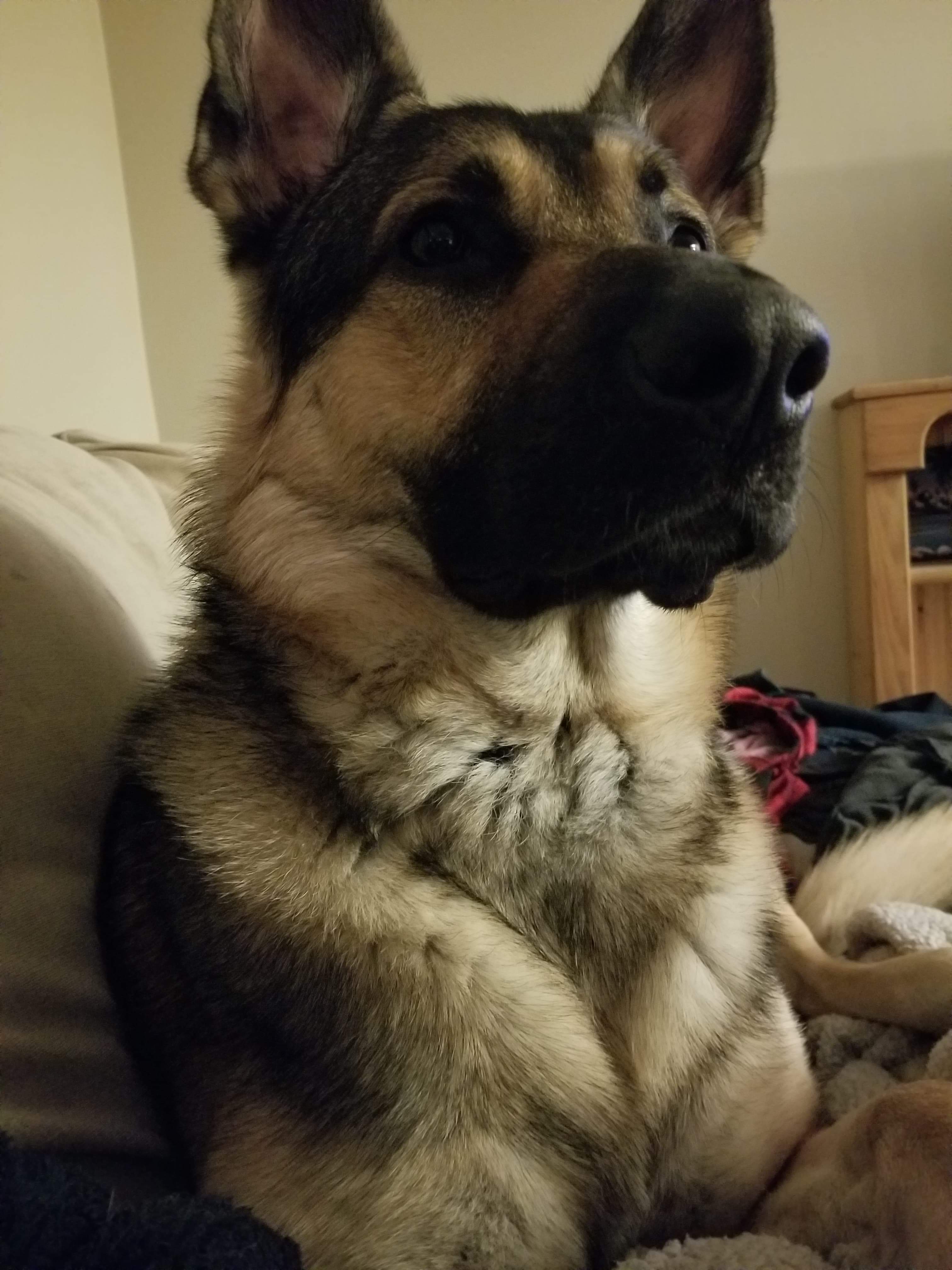 thatboykane on One Bite Pizza App