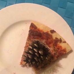 brandon.griffith1 on One Bite Pizza App