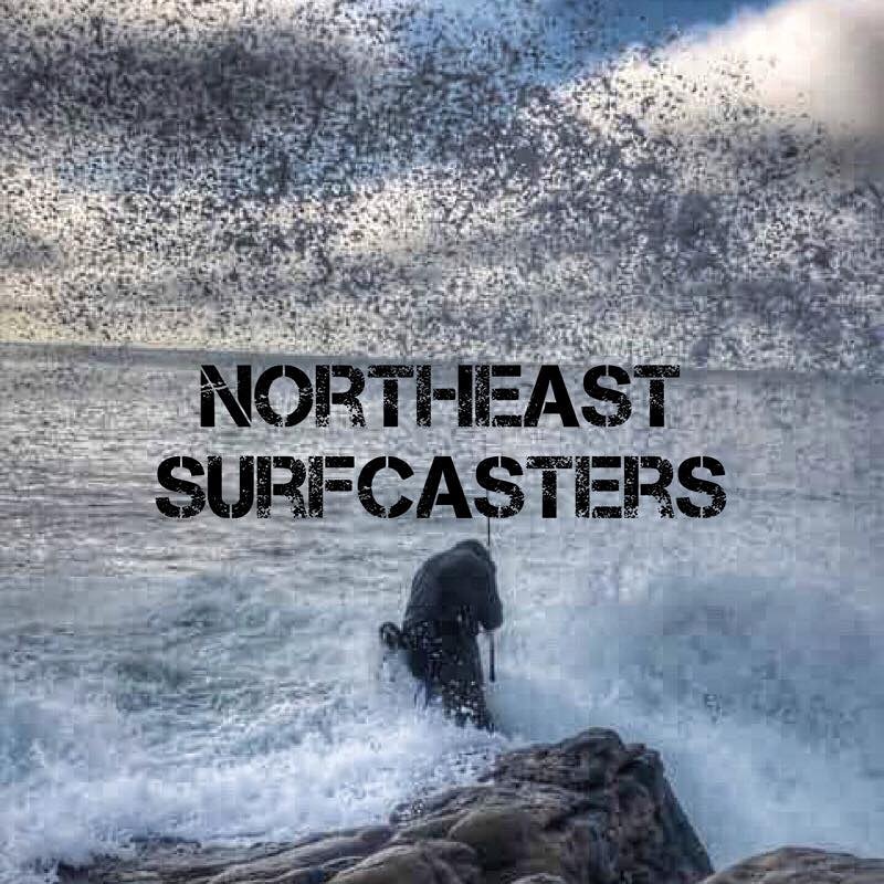 joe.camarda on One Bite Pizza App