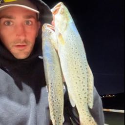 fish.pizza on One Bite Pizza App