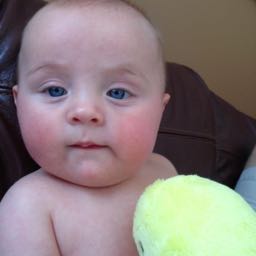 doug.v on One Bite Pizza App