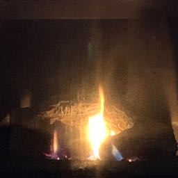 rene.barber on One Bite Pizza App