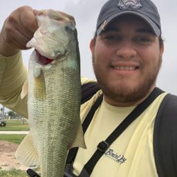 navydavey on One Bite Pizza App