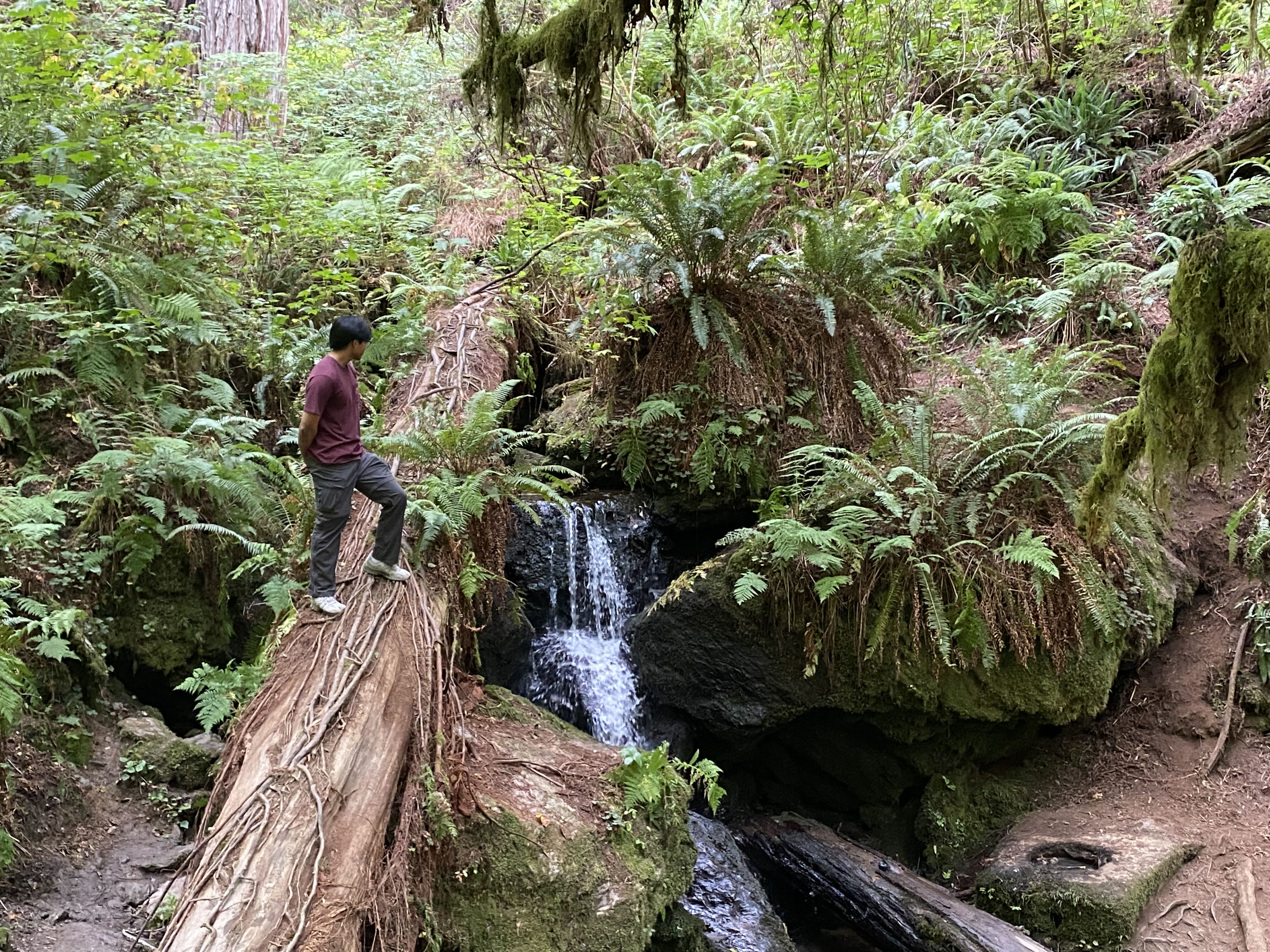 breadmaster on One Bite Pizza App
